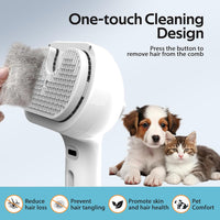 Pet Steam Brush