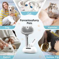 Pet Steam Brush