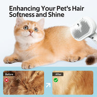 Pet Steam Brush