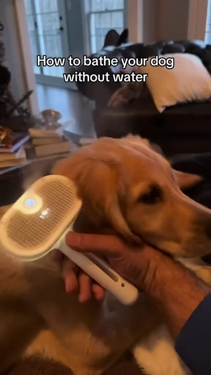 Pet Steam Brush